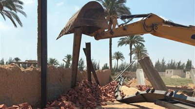 إزالة 12 حالة تعدٍ على الأراضي الزراعية بمحافظة الغربية