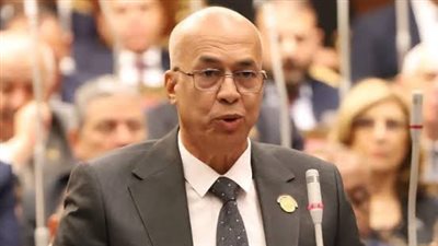صلاح ربيع: توجيهات السيسي بإجراء انتخابات المحليات تؤكد الحرص على البناء