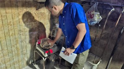 من أجل رغيف خبز مطابق لأهالينا.. 68 محضرًا خلال حملات رقابية مكثفة 