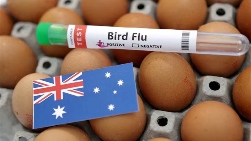 أستراليا