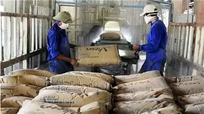 تراجع صادرات الأسمنت المصرية 25% خلال النصف الأول بسبب ارتفاع تكاليف الشحن