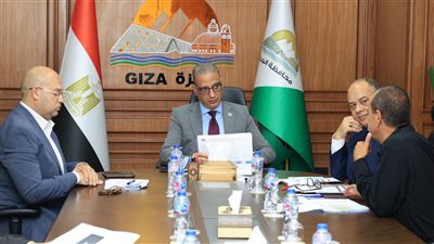 لتحسين المظهر الحضاري.. زراعة 500 شجرة بطريقي 6 أكتوبر والمنصورية بأبو النمرس