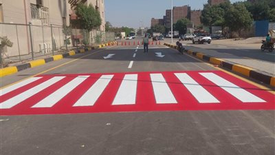 رفع 700 طن مخلفات تمهيدًا لتطوير شارع الكيلاني بالمنيرة الغربية