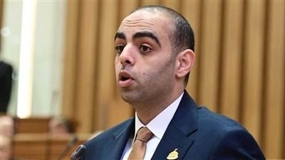 برلماني: مصر تواصل بناء قدراتها الوطنية بالتوازي مع تنفيذ مشروعات التنمية