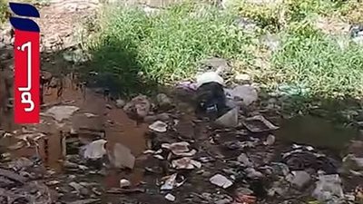 «الصرف معشش والريحة لا تطاق».. استغاثة أهالي مساكن دمياط بعد طفح مياه المجاري 