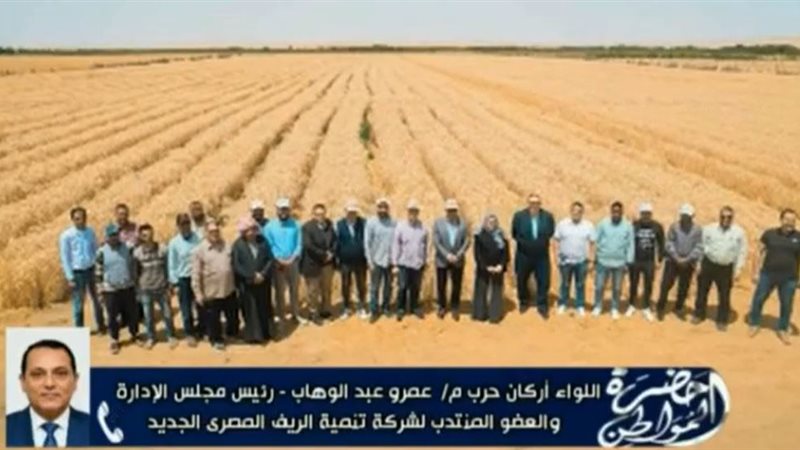 عمرو عبد الوهاب 
