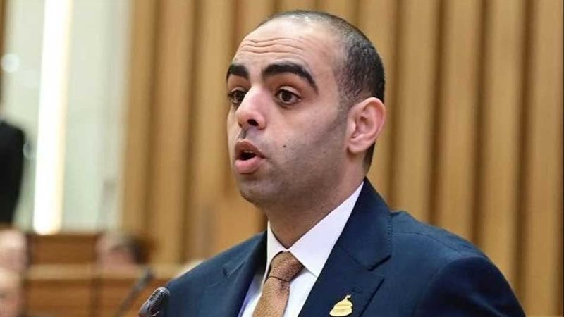 النائب حسن عمر حسنين