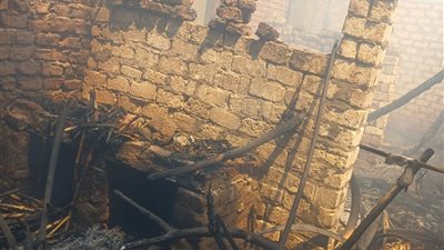 السيطرة على حريق اندلع في أشجار نخيل وأحواش مواشي بسوهاج 
