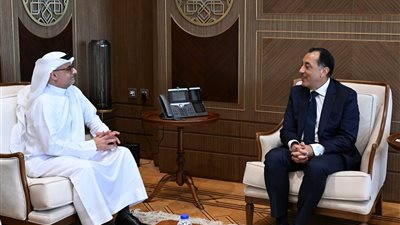 رئيس الوزراء يتابع مع 