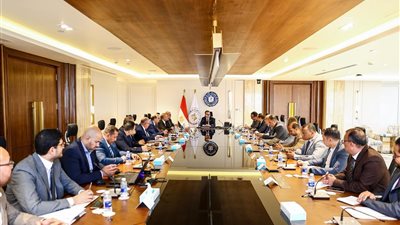 وزير التخطيط يبحث مستجدات 