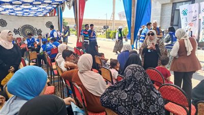 قصر ثقافة السويس ينظم محاضرة للتوعية بترشيد استهلاك الكهرباء 