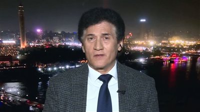 محلل سياسي لـ «نيوز رووم»: مصر تمتلك مؤسسات دولة راسخة وجيشًا قويًا