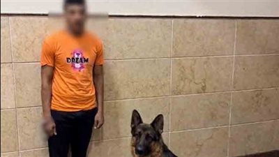ضبط عامل حرض كلبه على مهاجمة سيدة في البحيرة بزعم 