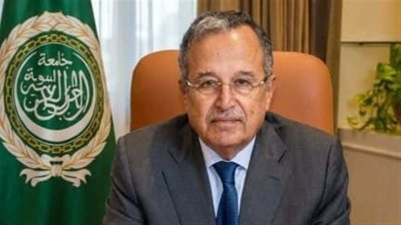 نبيل فهمي