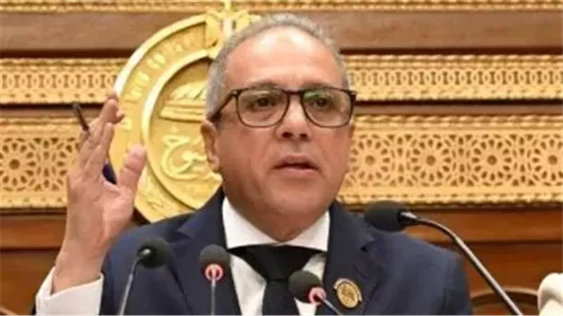  النائب أحمد حلمي