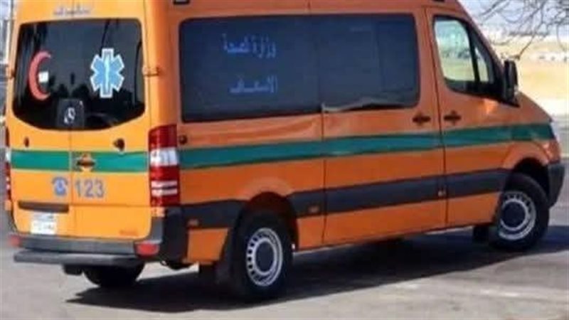 ارشيفية 