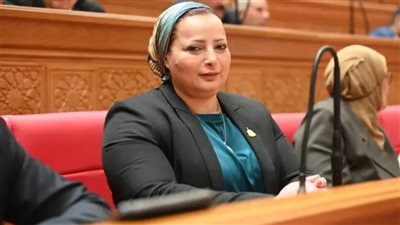 نائبة: إطلاق منظومة ربط البحث العلمي بالصناعة ينهي عصر الأبحاث حبيسة الأدراج