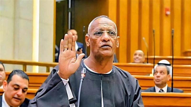 النائب مدحت الركابي