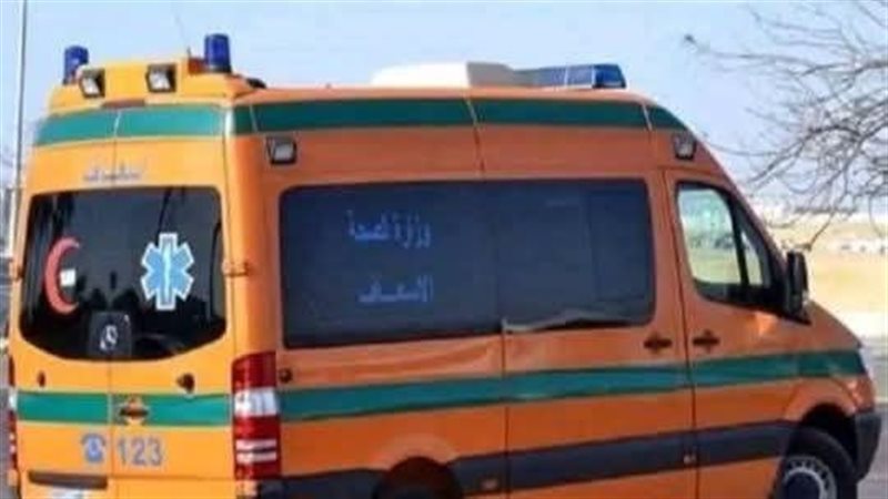 ارشيفية 