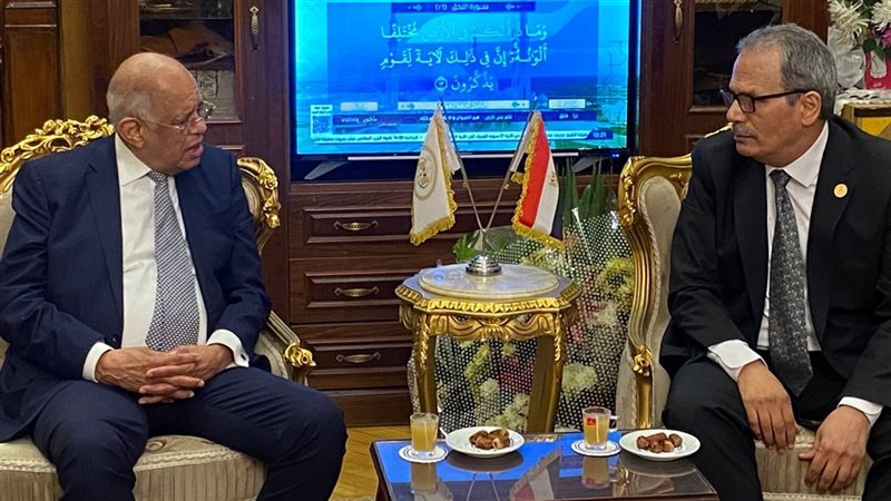 رئيس محكمة استئناف