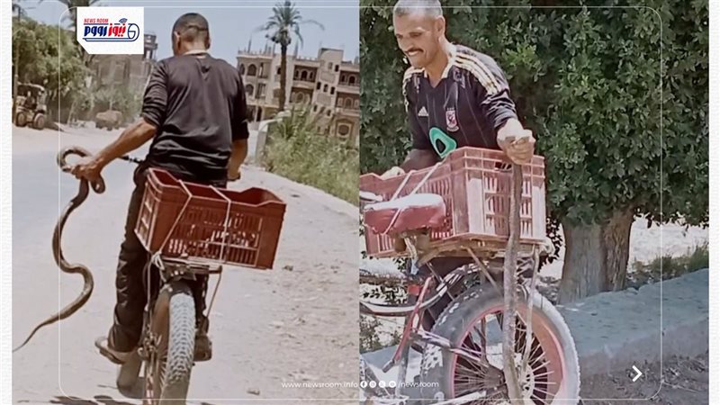 صائد الكوبرا