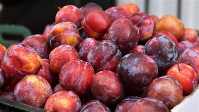 أفضل أوقات تناول الخوخ.. كيف يعزز الطاقة ويدعم النشاط البدني؟
