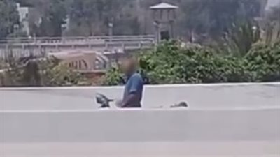 ضبط قائد دراجة بعد ظهوره في فيديو يرتكب أفعالًا خادشة للحياء بالإسماعيلية
