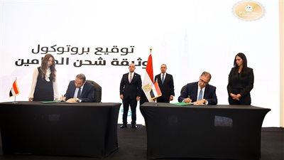 مصر تطلق وثيقة تأمين للمصريين بالخارج بتغطية تصل إلى 250 ألف جنيه