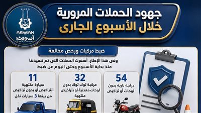 حملات مكثفة لضبط مخالفات النقل والتوك توك وتركيب الأكواد التعريفية بأسوان