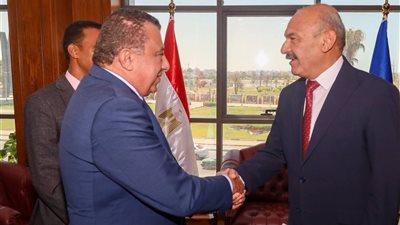 محافظ السويس يدعم المشروعات الخضراء الذكية ويؤكد أهمية الابتكار لتحقيق التنمية