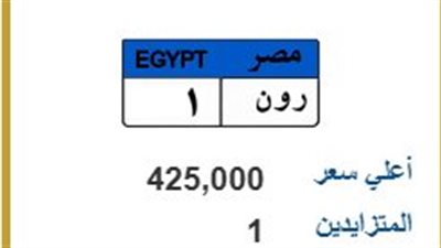 لوحة «ر و ن 1» تسجل 425 ألف جنيه في مزاد اللوحات المعدنية المميزة
