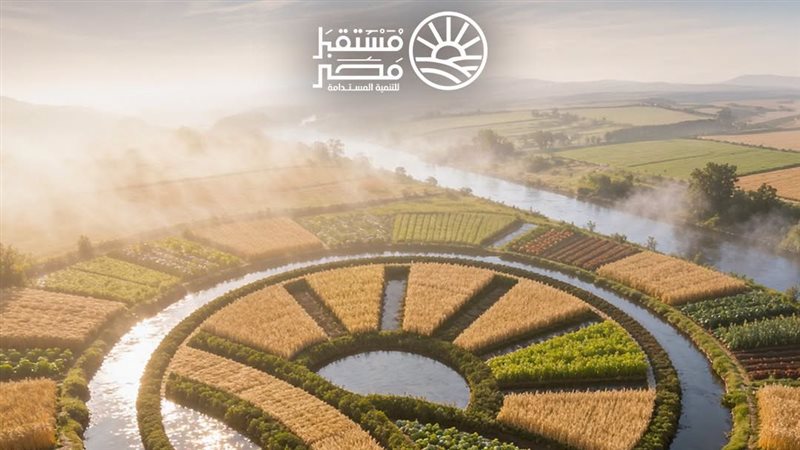 جهاز مستقبل مصر 