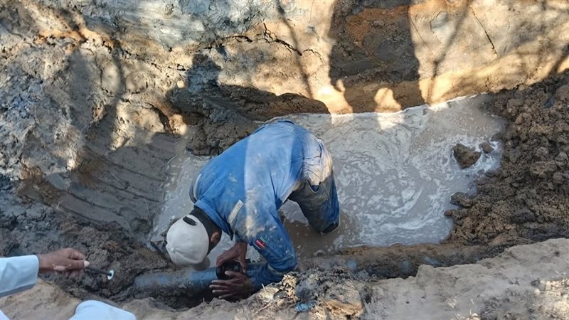 استجابة فورية لشكاوى