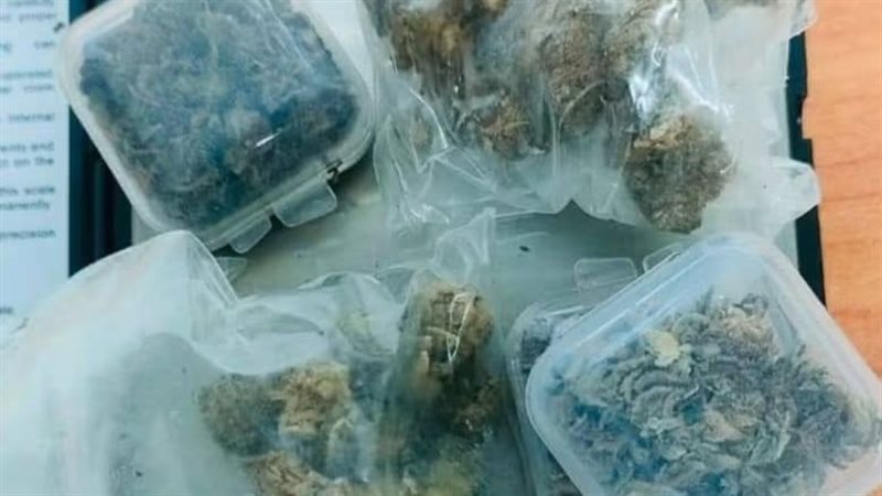 المضبوطات 