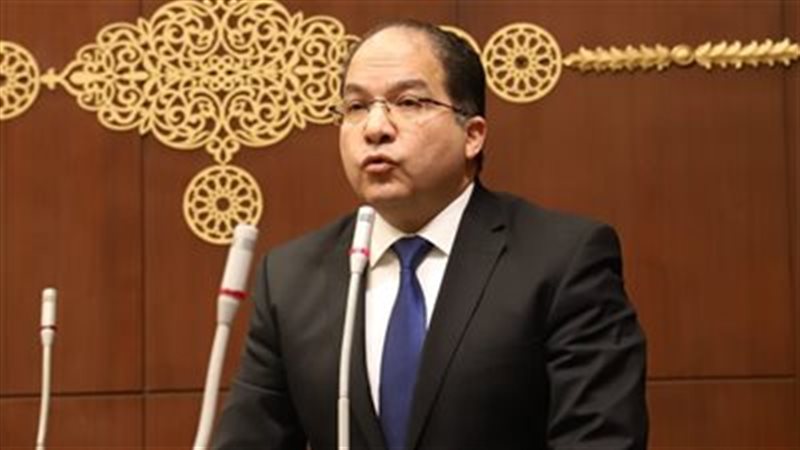 النائب عادل اللمعي