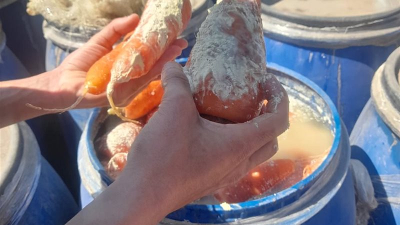 ضبط 12 طنًا من الأغذية