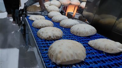 من أجل رغيف خبز مطابق.. 68 محضرًا خلال حملات رقابية مكثفة بقرية السنطة