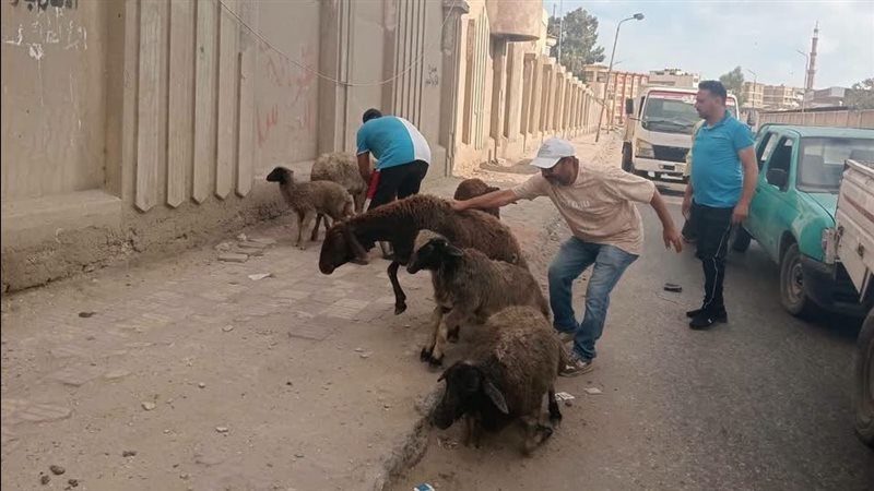 جانب من الحملات لمصادرة