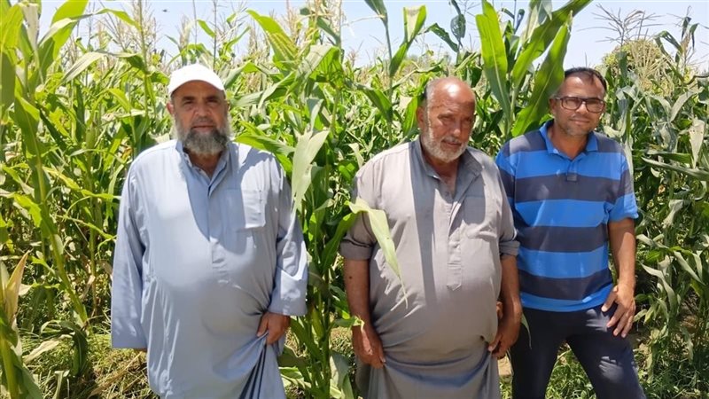 الإرشاد الزراعي بالإسماعيلية