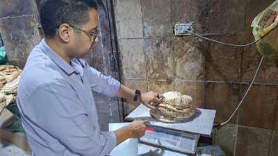من أجل رغيف خبز مطابق لأهالينا.. 14 محضرًا خلال حملات رقابية مكثفة بقريتي سندس