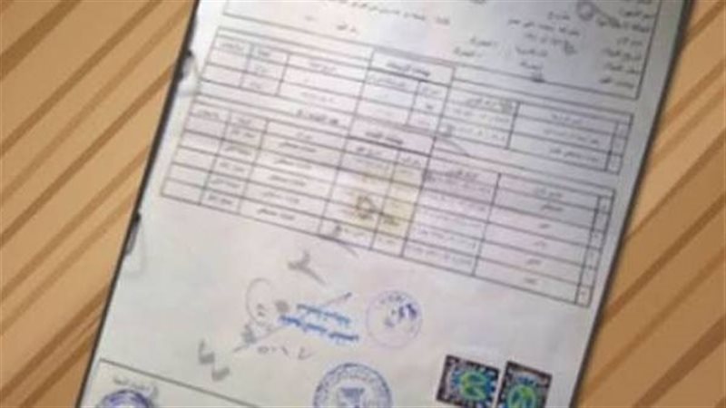 ارشيفية 