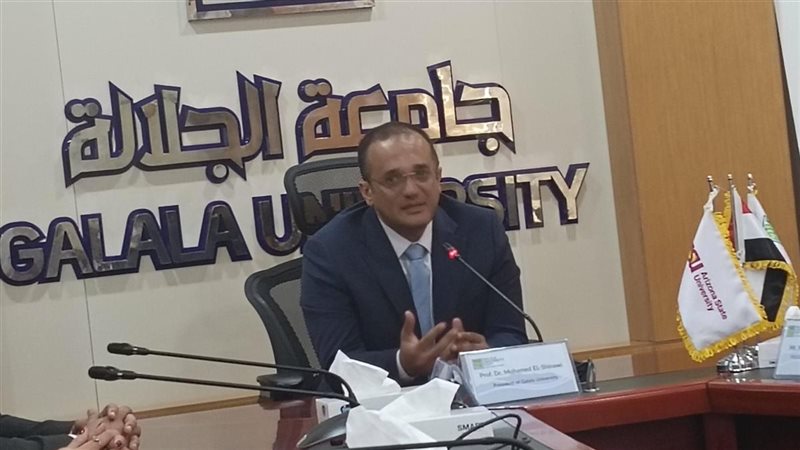 الدكتور محمد الشناوي