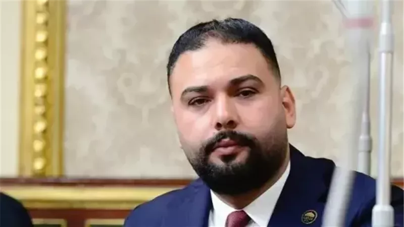 النائب إبراهيم الديب
