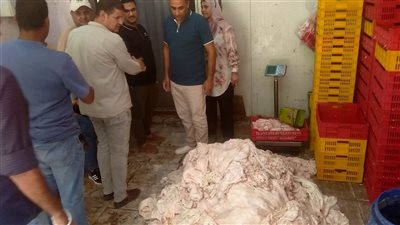 غلق وتشميع ثلاجة لحوم غير مرخصة.. وضبط أكثر من 2 طن دهون فاسدة بالمنوفية