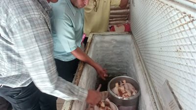 ضبط 510 كجم لحوم ودواجن مجهولة البيانات و560 كجم سكر تمويني في حملة بالغربية