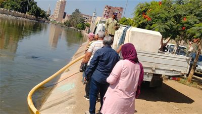 الشرقية تواصل دعم الثروة السمكية.. إنزال 400 ألف زريعة أسماك مبروك ببحر مويس 