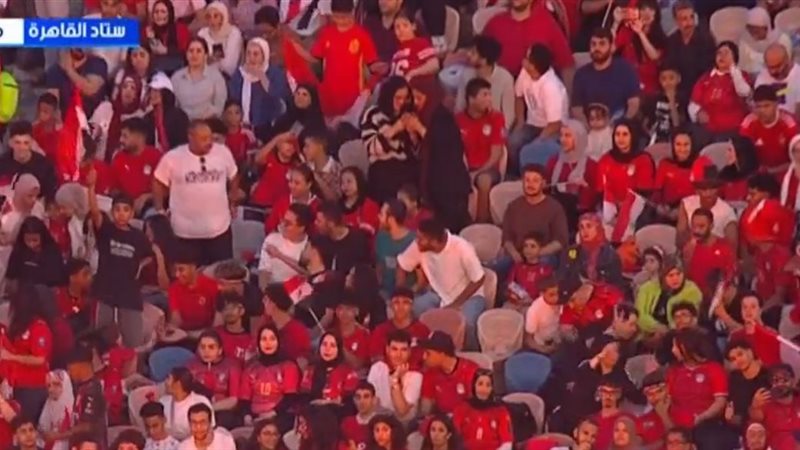استاد القاهرة الدولي