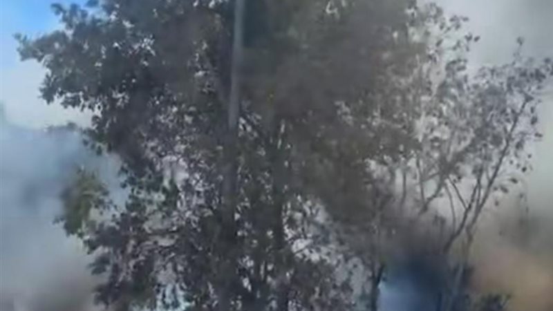 حريق كامب دهب