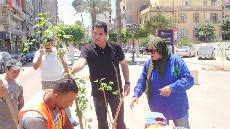 جهاز التطوير والتجميل
