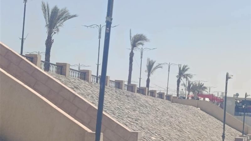 جانب من الحملة